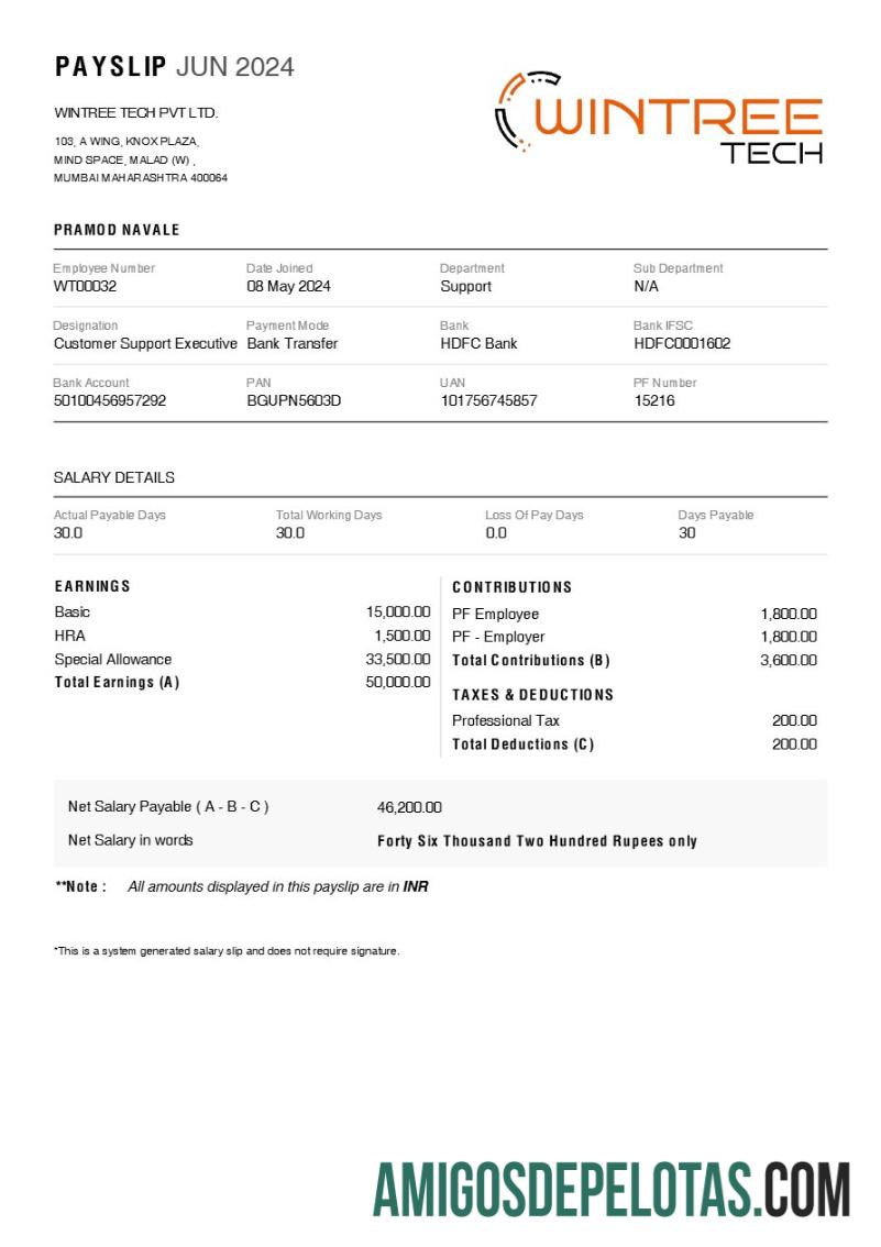 Em branco Modelo de recibo de pagamento da Wintree Tech em formatos Word e PDF.pdf, 1